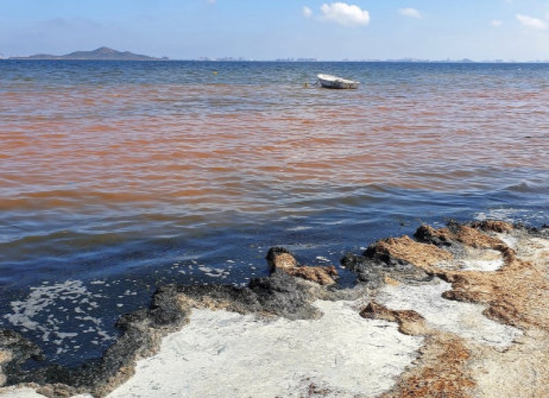<span style='color:#780948'>ARCHIVED</span> - Update on status of Mar Menor and La Manga beaches following Gota Fría