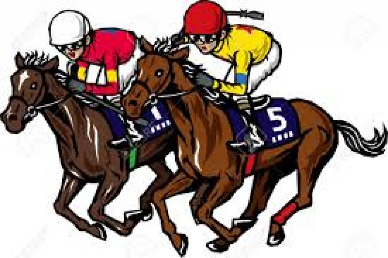 <span style='color:#780948'>ARCHIVED</span> - Friday 21st February Help Murcia Mar Menor Race Night Los Alcázares