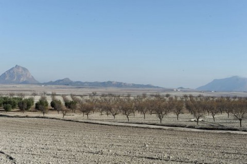<span style='color:#780948'>ARCHIVED</span> - Calasparra hottest place in Murcia Region on Monday with 36.7 degrees C.