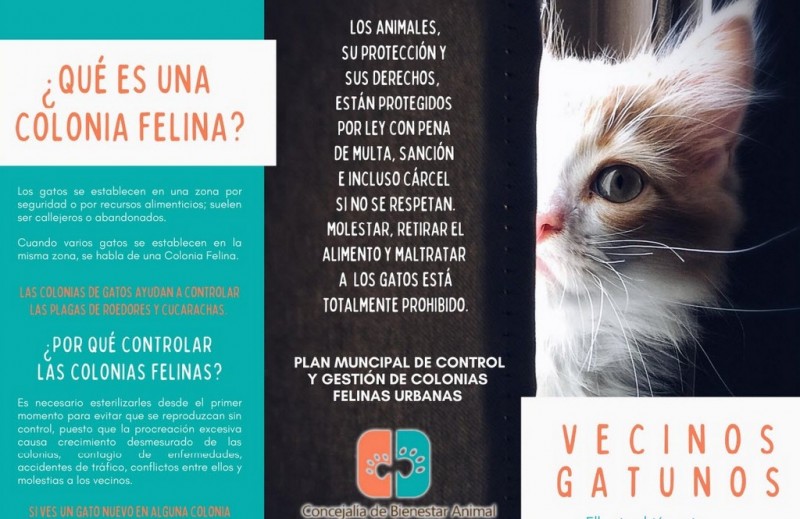 <span style='color:#780948'>ARCHIVED</span> - Los Alcázares Council promotes plan to manage feral cat colonies