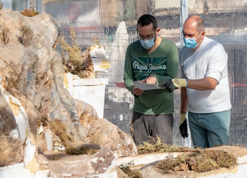 <span style='color:#780948'>ARCHIVED</span> - Cartagena Nativity scene being installed in Plaza San Francisco