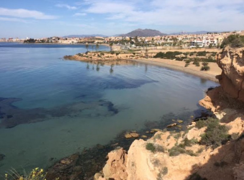 <span style='color:#780948'>ARCHIVED</span> - Cartagena steps up beach cleaning but still no chiringuito beach bars open