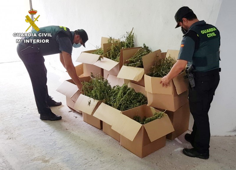 <span style='color:#780948'>ARCHIVED</span> - Open-air marihuana plantation found in Murcia mountains