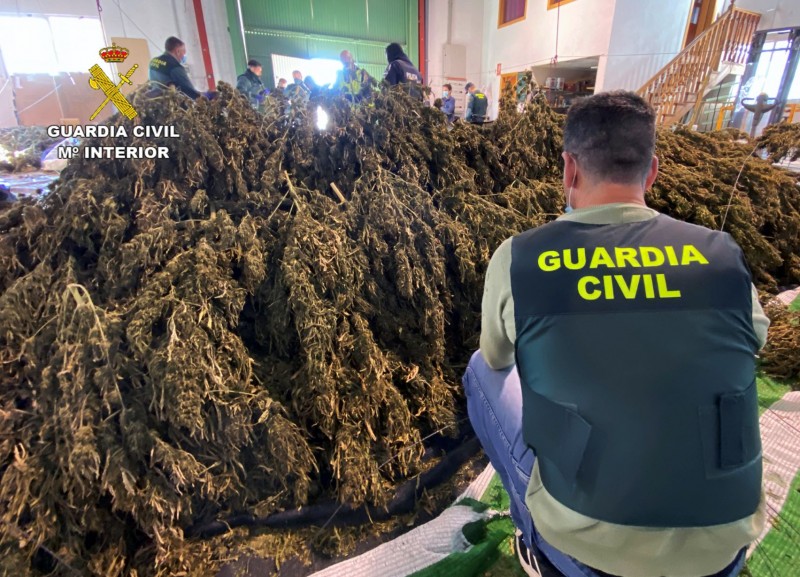 <span style='color:#780948'>ARCHIVED</span> - Cieza police arrest Japanese marijuana farmers