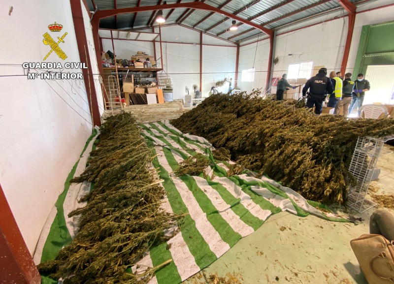 <span style='color:#780948'>ARCHIVED</span> - Cieza police arrest Japanese marijuana farmers