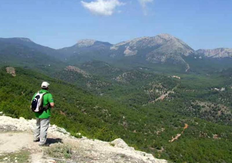 <span style='color:#780948'>ARCHIVED</span> - May 15 Free guided walk to see the migratory birds in the mountains of Sierra Espuña