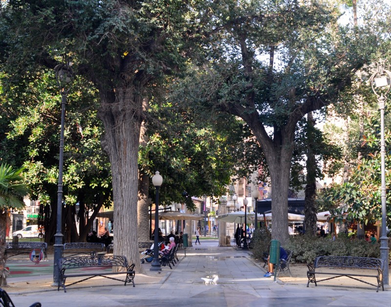 The Plaza de Calvo Sotelo in Alicante City