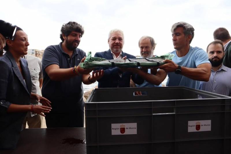 First part of ancient Phoenician shipwreck is brought to the surface in Mazarron bay