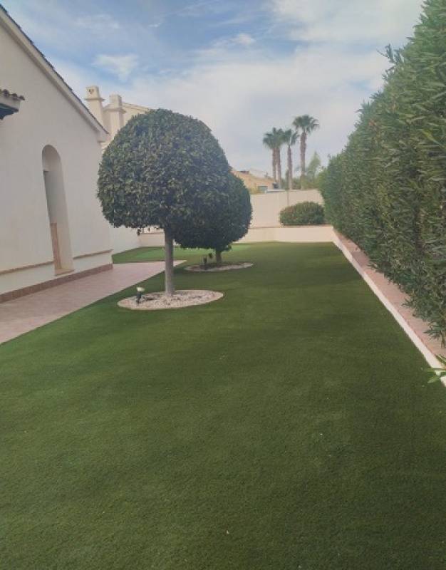 Like that lush green lawn look? Contact Home Space Group for your garden spruce up