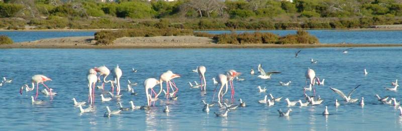 The beaches of the Costa Cálida are the place to be during the autumn!