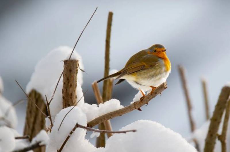 Winter in Spain officially starts this weekend with the shortest day of the year