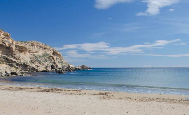 February 9 Explore the Cuatro Calas coastline of Águilas on a free guided walk