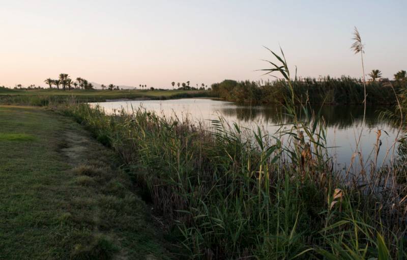 The beach of Playa de la Hita in Los Alcázares