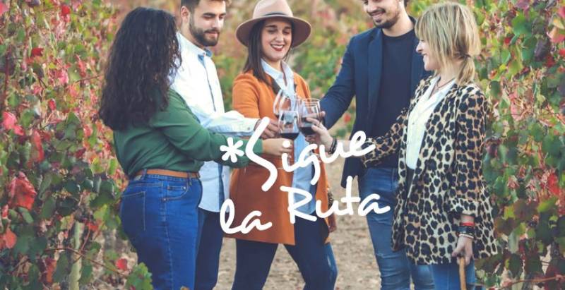 Wine tourism in Alicante: The route that combines DOP wines, gastronomy and nature