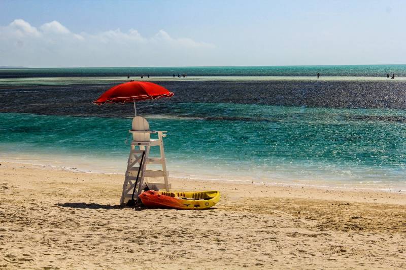 Lorca lifeguards deliver safe summer despite unpredictable seas and shark sighting