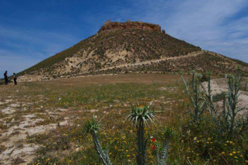 November 29 Free guided tour of La Puebla de Mula