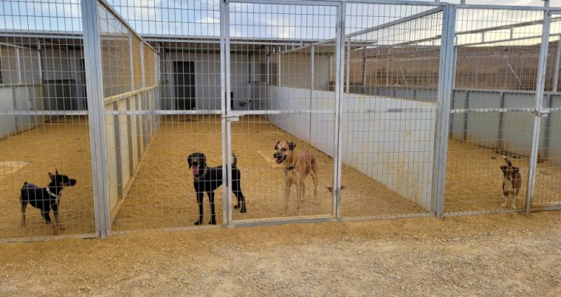 Volunteer kennel managers wanted at Noah's ARC dog rescue, Mazarrón