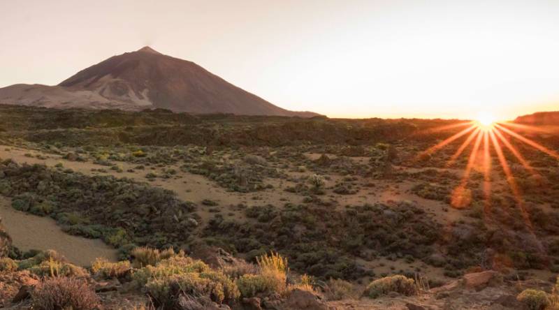 A dozen new earthquakes shake Tenerife after nearly a week of calm
