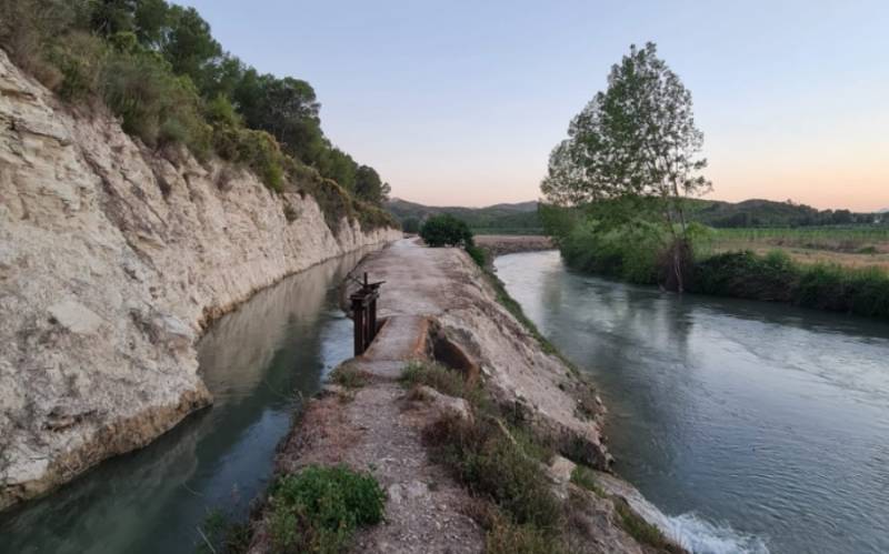 Visit the rice fields of Calasparra this year!