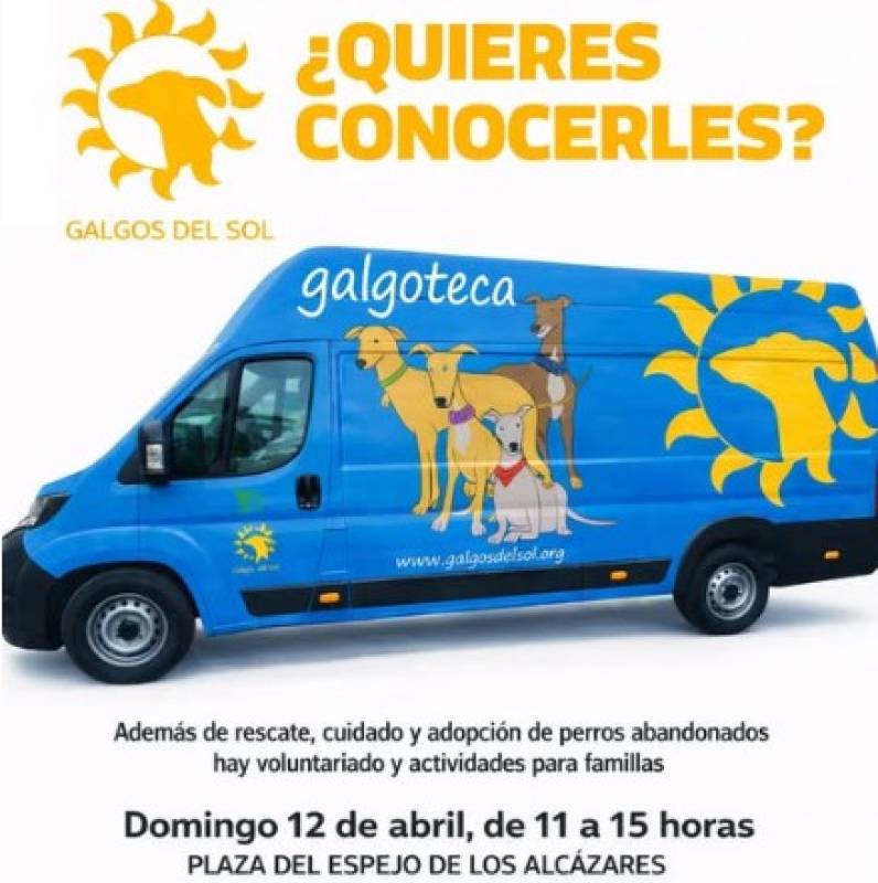 April 12 Meet abandoned greyhounds in Los Alcázares!