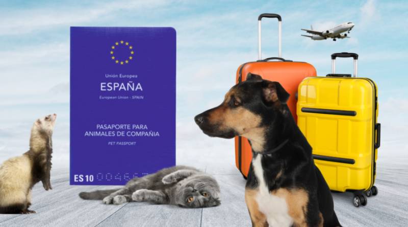 Big changes to pet travel rules between the UK and Spain come into force this April