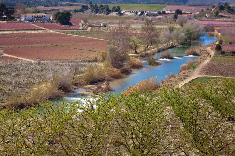 Valle de Ricote and Moratalla in full bloom with orange blossom and lavender