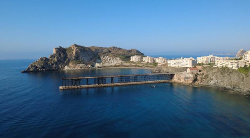 Dive beneath Águilas' iconic Hornillo Pier and discover a hidden underwater world