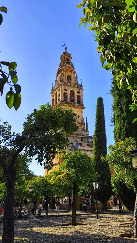 Córdoba's Mosque-Cathedral tops one million visitors for the third year running, despite a difficult start to 2026