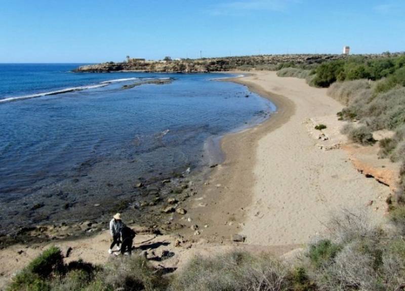 Increased safety measures for the autumn at the beach of Matalentisco in Águilas