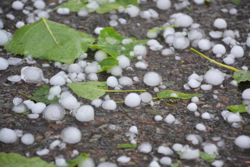 Hailstorm sweeps northern Murcia and threatens olive harvest