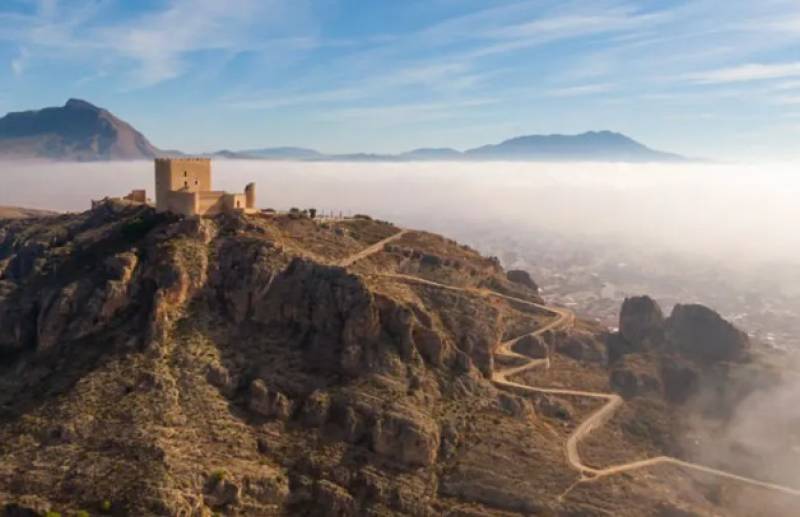 October 24 A range of excellent guided tours during the Matavendimia festival in Jumilla