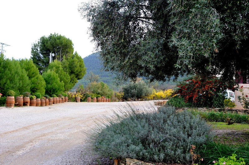 Jumilla wine route: Bodega Casa de la Ermita / Hacienda del Carche