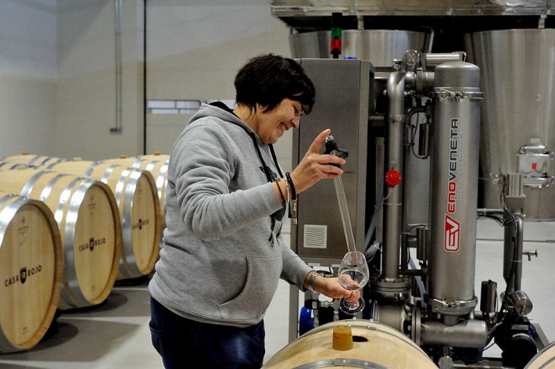 Jumilla wine route, Bodega Casa Rojo